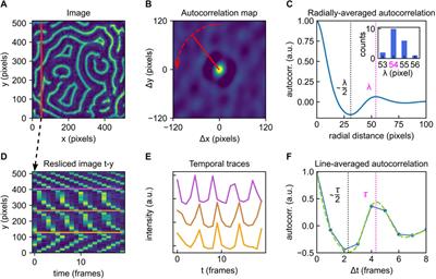 Quantitative analysis of surface wave patterns of Min proteins